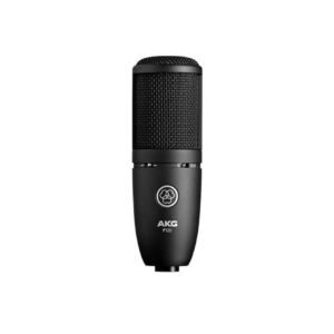 AKG AP120 Studio mic