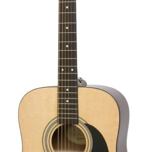 Epiphone Guitar