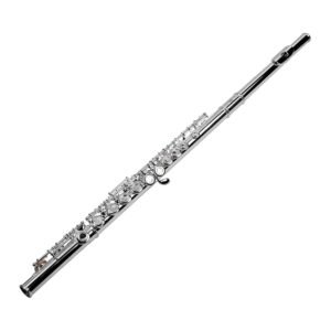 Flute proffessional