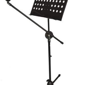 Music stand with mic stand