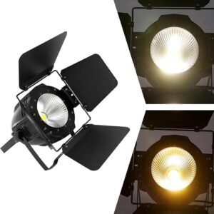 RG309 SPOTLIGHT